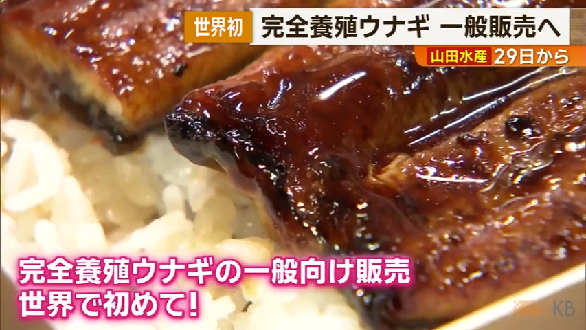 KKB NEWS