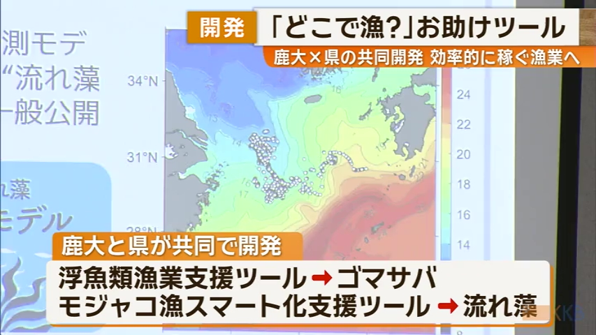 KKB NEWS