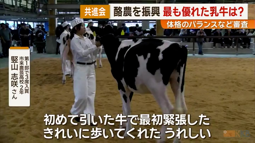 KKB NEWS