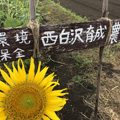 䕗ɕȂ