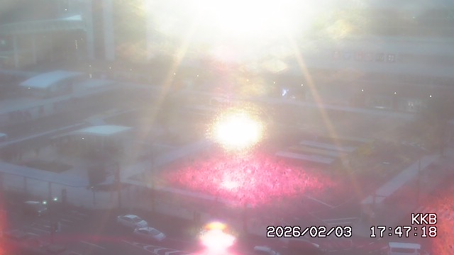 �����������w���J����