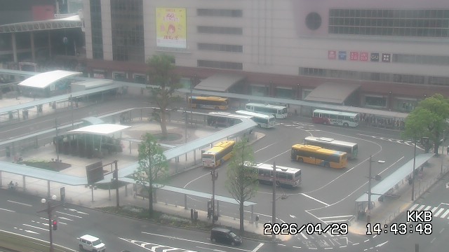 �����������w���J����