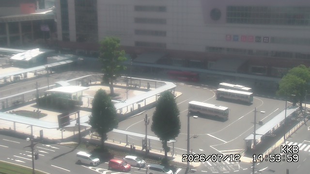 �����������w���J����