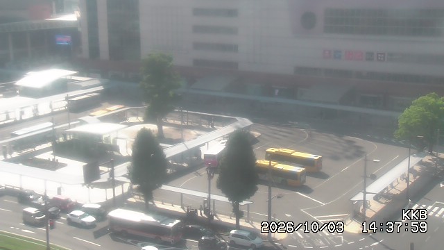 �����������w���J����