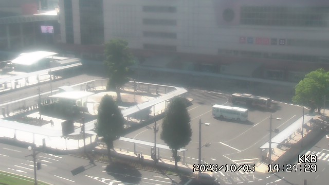 �����������w���J����