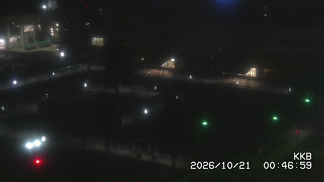 �����������w���J����
