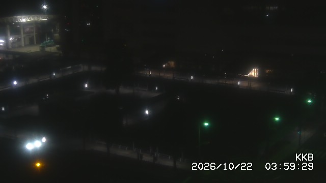 �����������w���J����