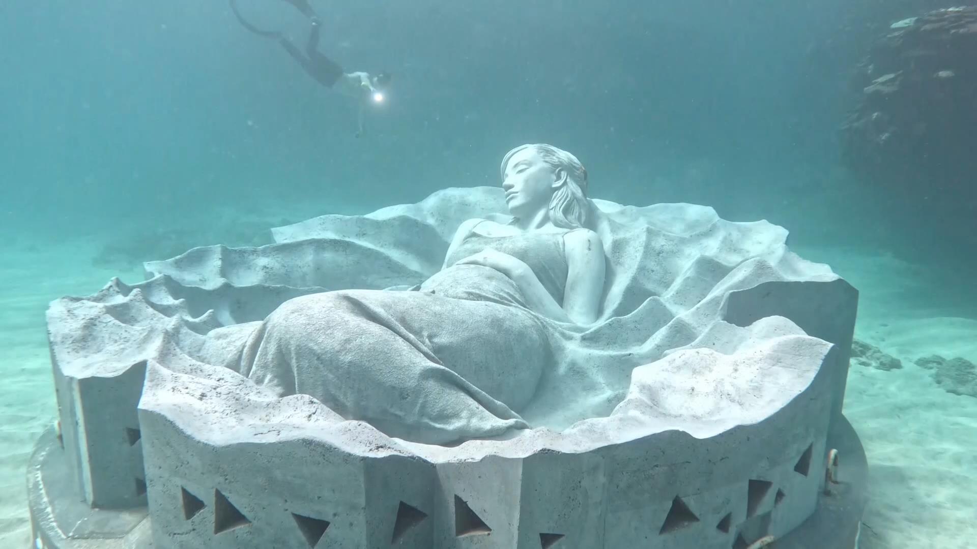 �u���������wOCEAN GAIA�x�v���V����