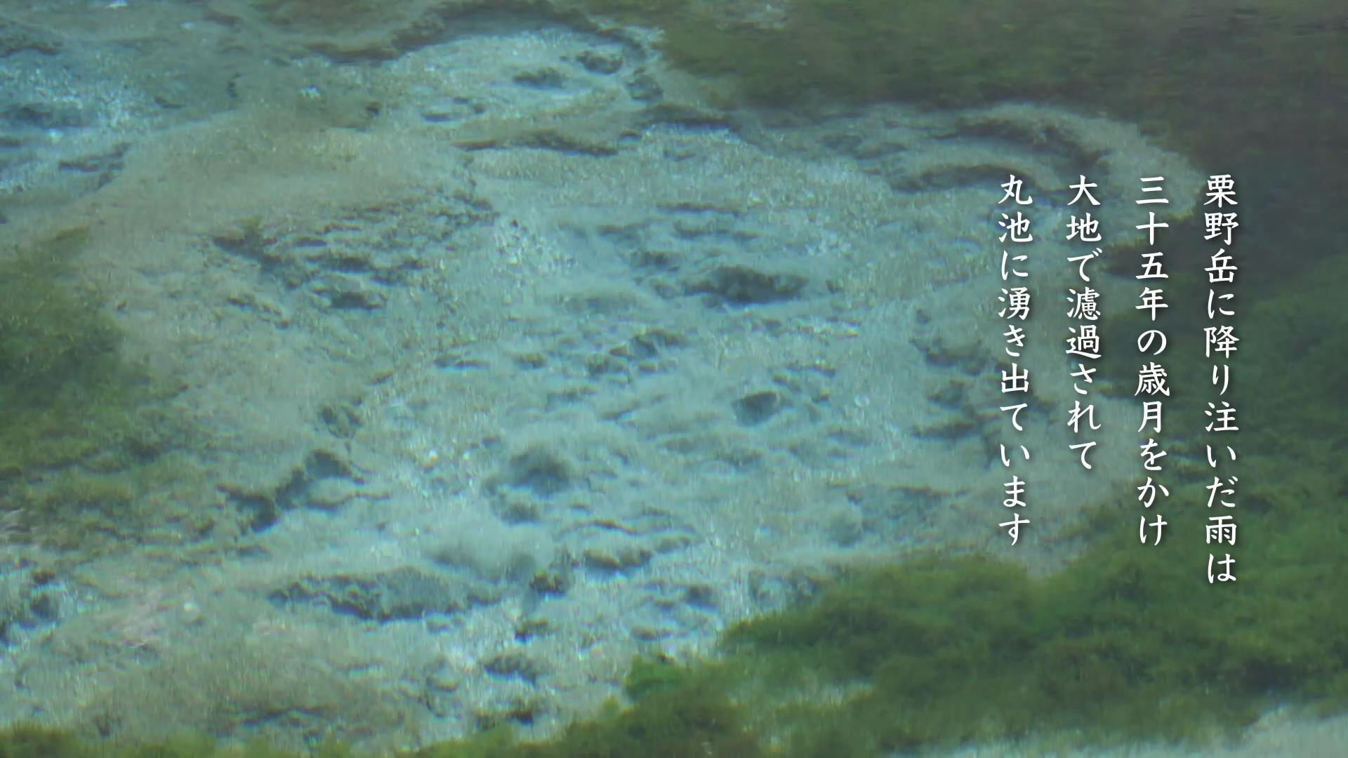 �u�N�����Ƌ��Ɂv�N����