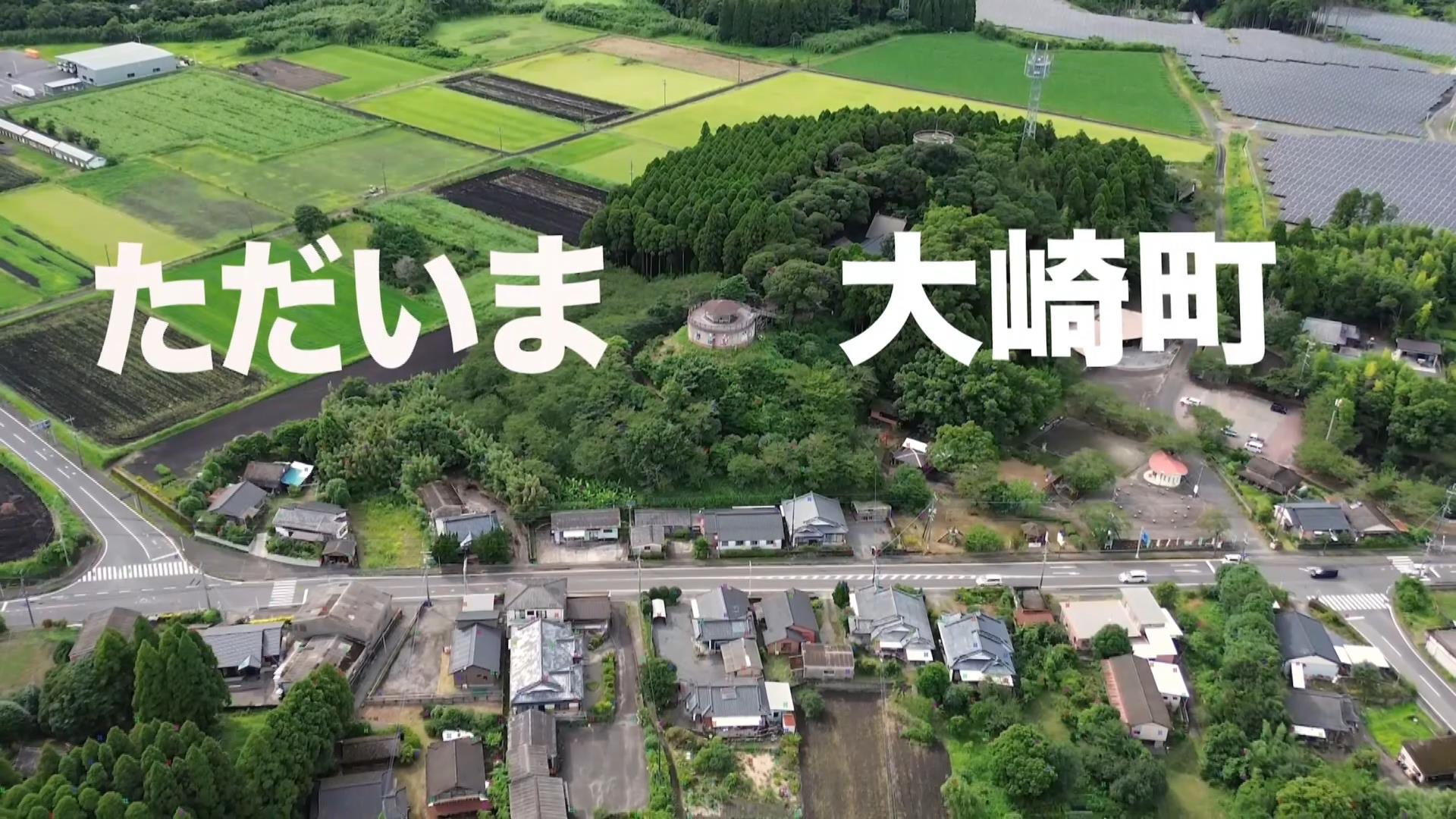 �u�������� ��蒬�v��蒬