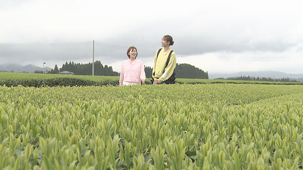 �g�����h�~�������̐H����