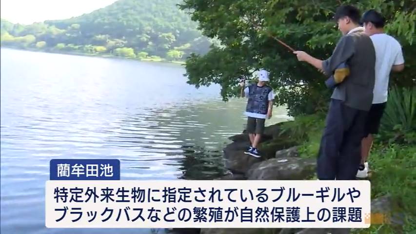 KKB NEWS