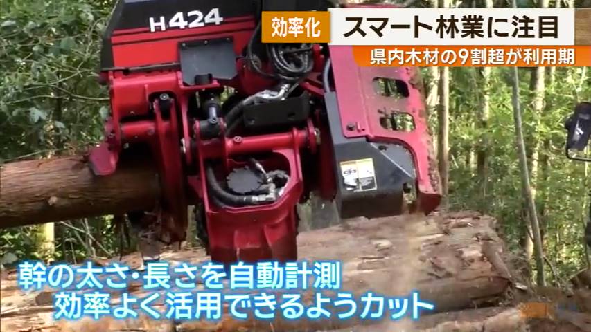 KKB NEWS