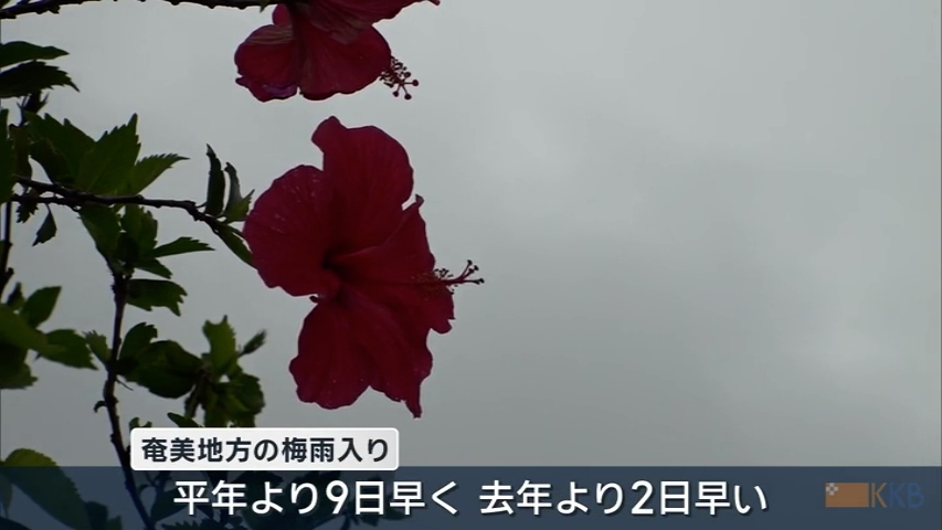 KKB NEWS