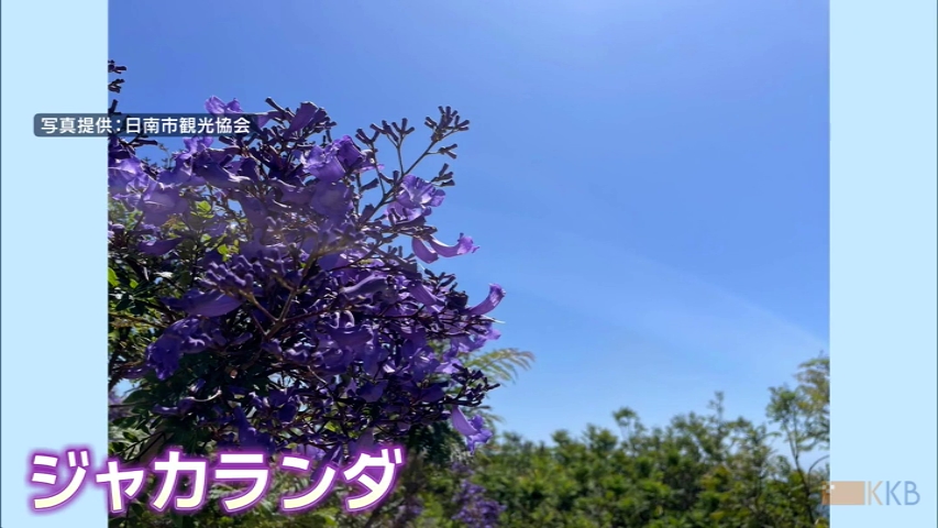 KKB NEWS