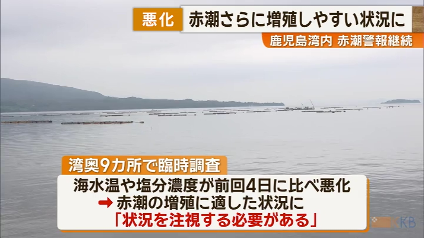 KKB NEWS