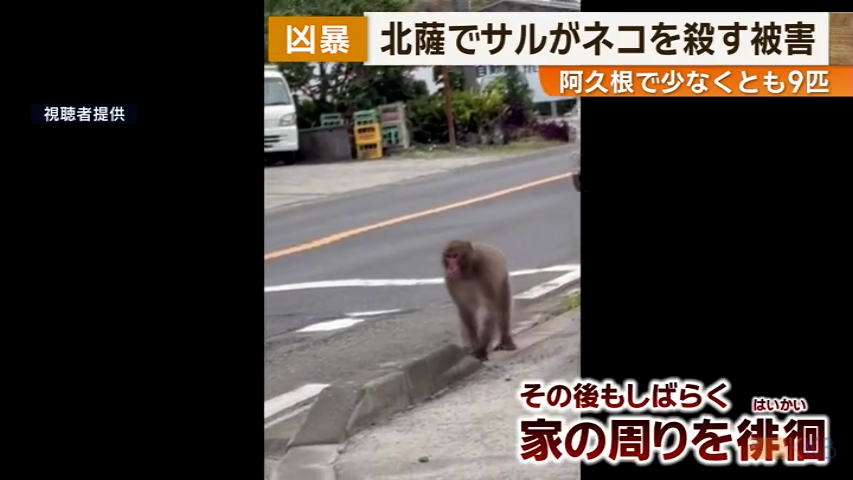 KKB NEWS