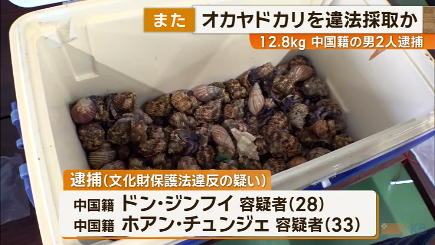 KKB NEWS