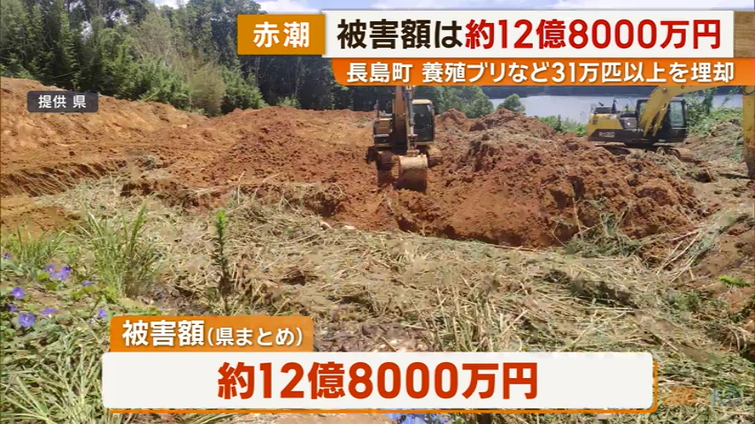 KKB NEWS