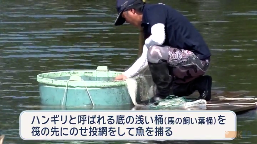 KKB NEWS