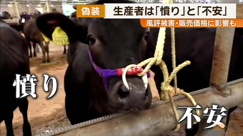 KKB NEWS