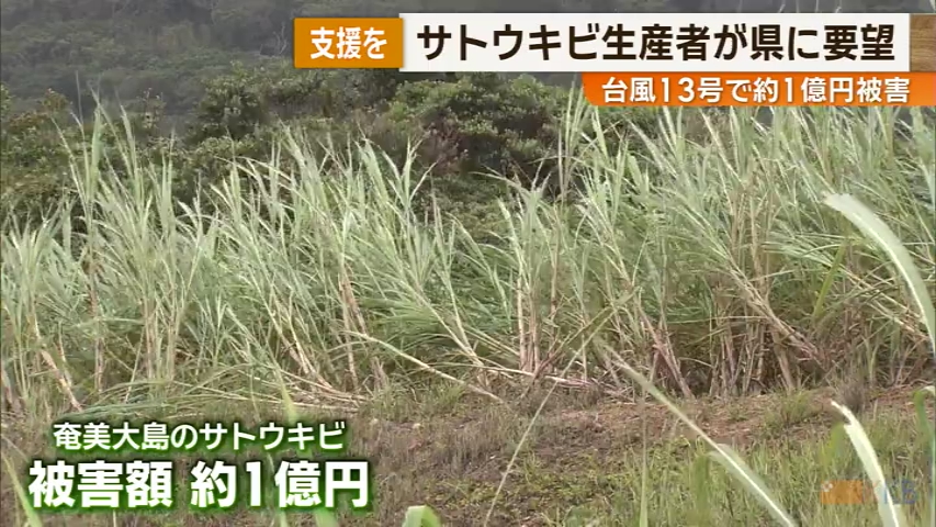 KKB NEWS