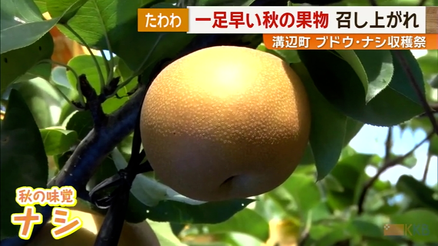 KKB NEWS