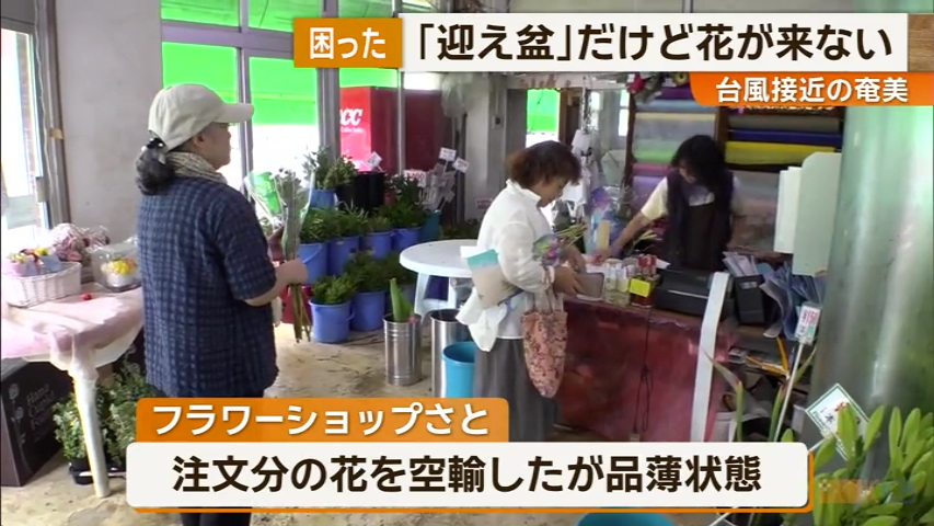 KKB NEWS