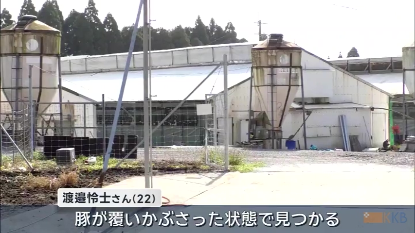 KKB NEWS