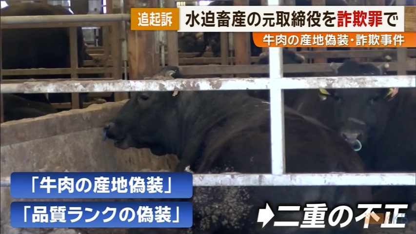 KKB NEWS