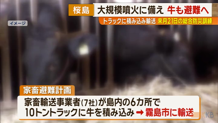 KKB NEWS
