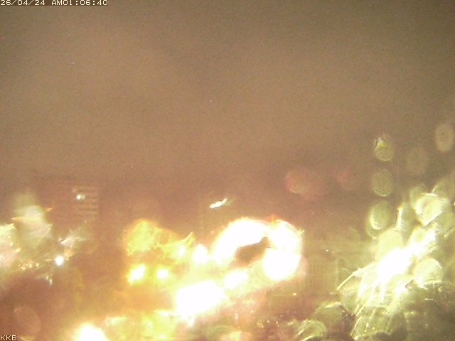 �������J����