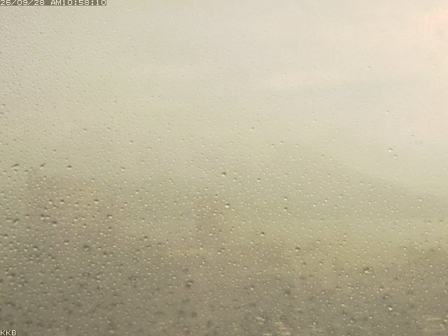 �������J����